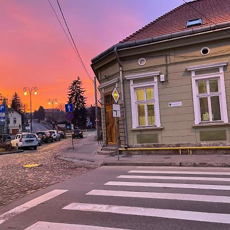 Guest House Hena Sfântu-Gheorghe Zewnętrze zdjęcie
