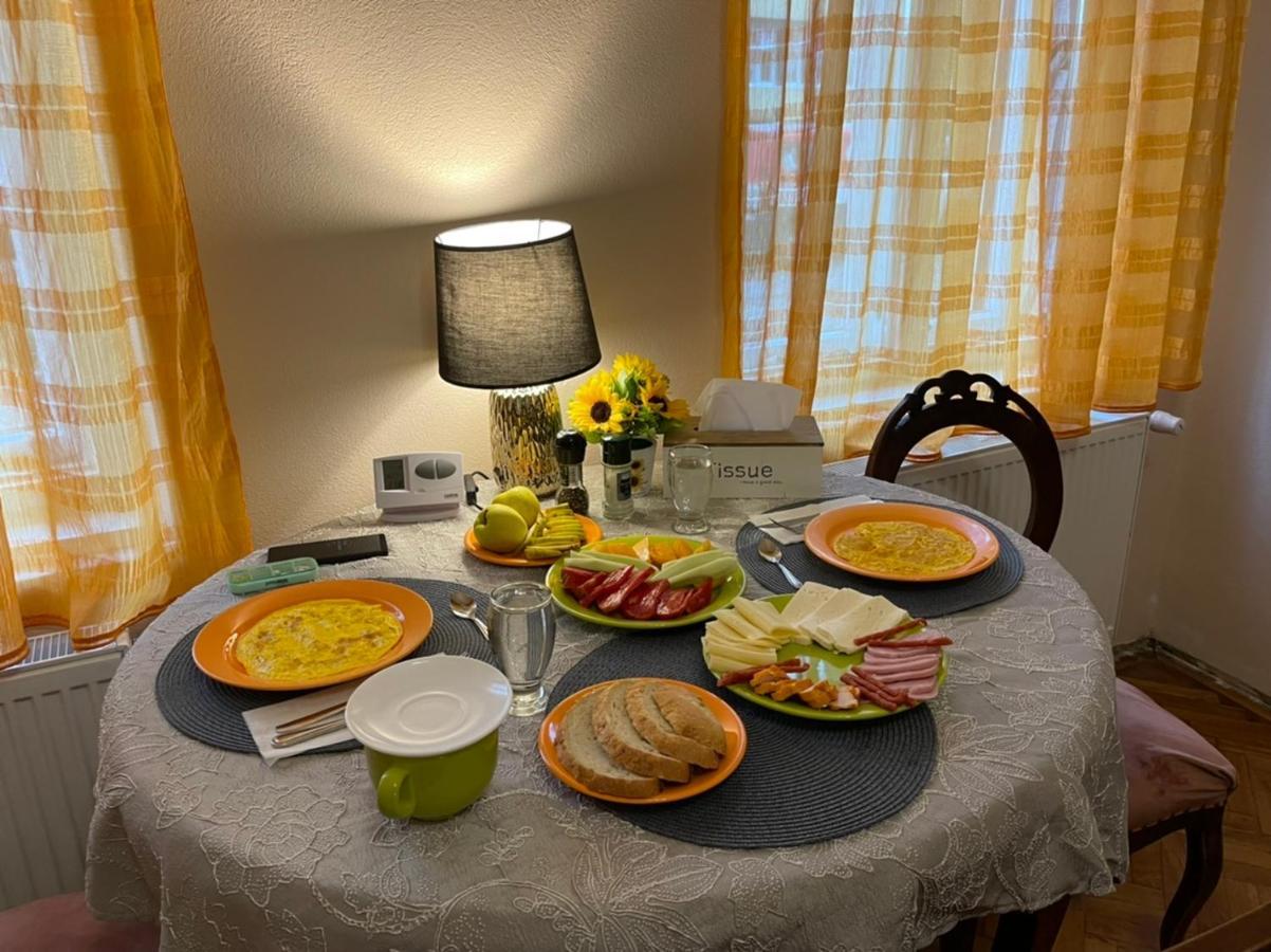Guest House Hena Sfântu-Gheorghe Zewnętrze zdjęcie