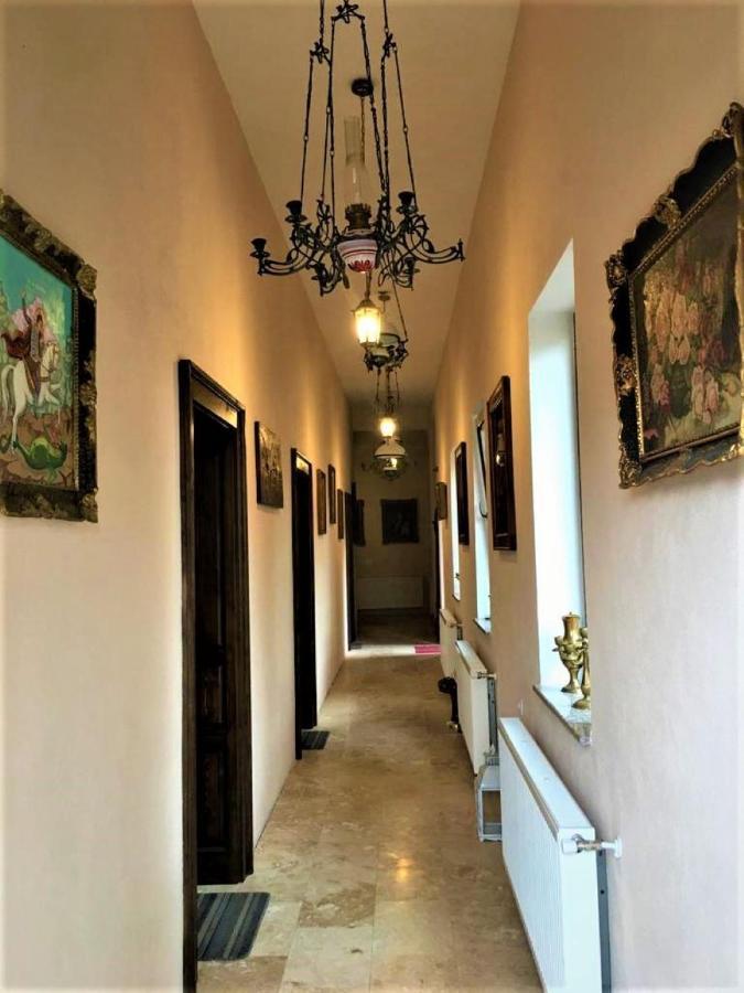 Guest House Hena Sfântu-Gheorghe Zewnętrze zdjęcie